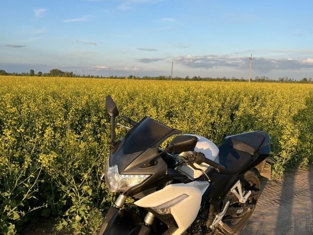 Лонкин 5312, объемом двигателя 0.25 л и пробегом 0 тыс. км за 1200 $, фото 2 на Automoto.ua