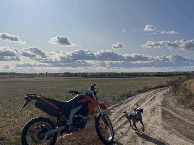 Лонкин 6510, объемом двигателя 0.25 л и пробегом 0 тыс. км за 1000 $, фото 2 на Automoto.ua