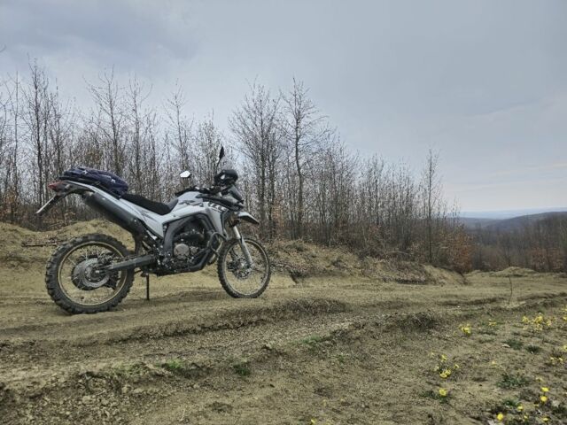 Лонкін 6510, об'ємом двигуна 0.29 л та пробігом 0 тис. км за 3700 $, фото 3 на Automoto.ua