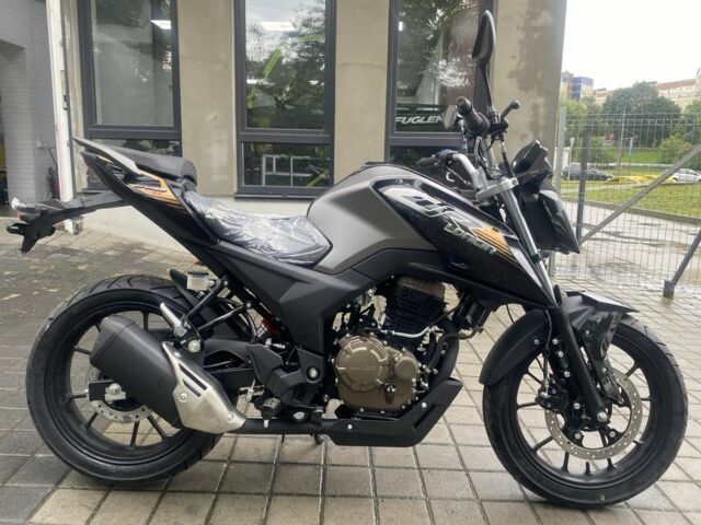 Лонкин 95 XF 380, объемом двигателя 0.25 л и пробегом 0 тыс. км за 2300 $, фото 3 на Automoto.ua