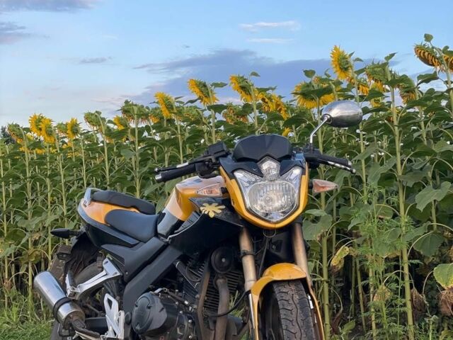 Лонкин Другая 2013 в Тростянец на Automoto.ua Лонкин Другая, объемом двигателя 0.2 л и пробегом 0 тыс. км за 846 $, фото 1 на Automoto.ua