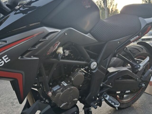 Лонкин Другая, объемом двигателя 0.3 л и пробегом 0 тыс. км за 110000 $, фото 3 на Automoto.ua