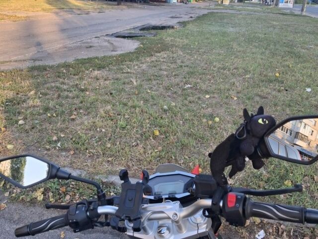 Лонкин Другая, объемом двигателя 0.3 л и пробегом 0 тыс. км за 110000 $, фото 7 на Automoto.ua