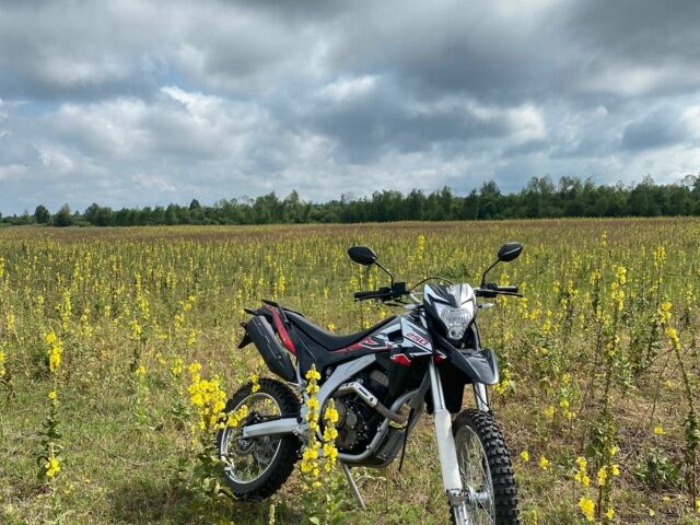 Лонкін Інша, об'ємом двигуна 0.25 л та пробігом 0 тис. км за 1700 $, фото 4 на Automoto.ua