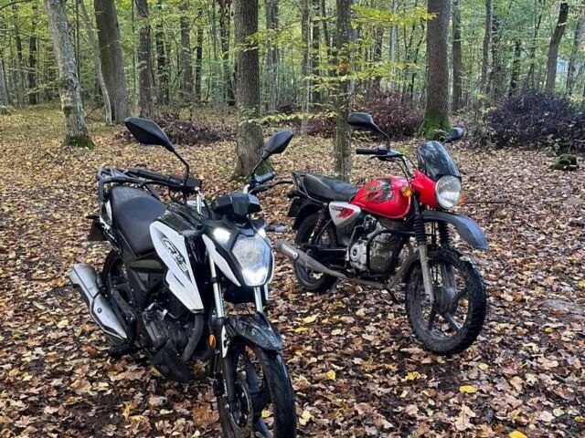 Лонкін Інша, об'ємом двигуна 0.2 л та пробігом 0 тис. км за 878 $, фото 4 на Automoto.ua