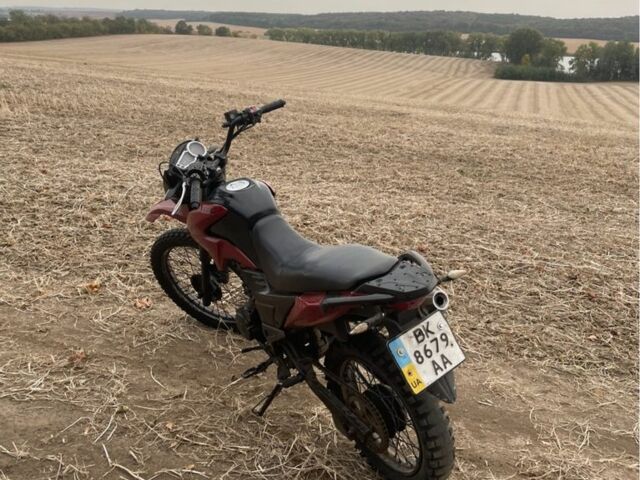 Лонкін LX200GY-3, об'ємом двигуна 0.2 л та пробігом 0 тис. км за 473 $, фото 1 на Automoto.ua