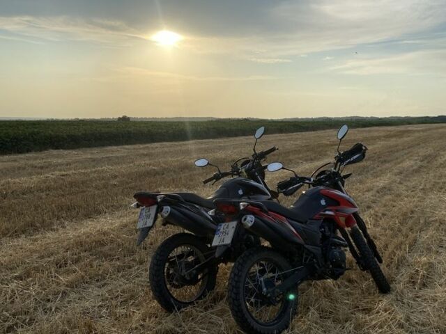 Лонкін LX200GY-3, об'ємом двигуна 0.2 л та пробігом 0 тис. км за 952 $, фото 2 на Automoto.ua