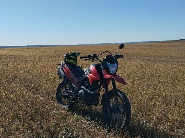 Лонкин LX200GY-3, объемом двигателя 0.19 л и пробегом 0 тыс. км за 750 $, фото 4 на Automoto.ua