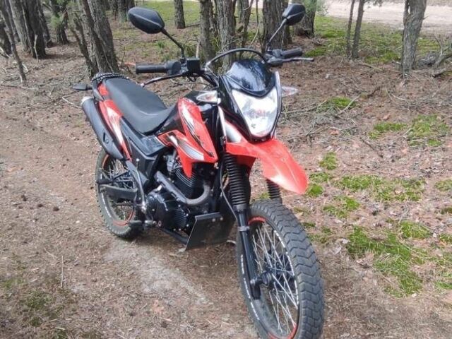 Лонкін LX200GY-3, об'ємом двигуна 0.2 л та пробігом 0 тис. км за 950 $, фото 2 на Automoto.ua