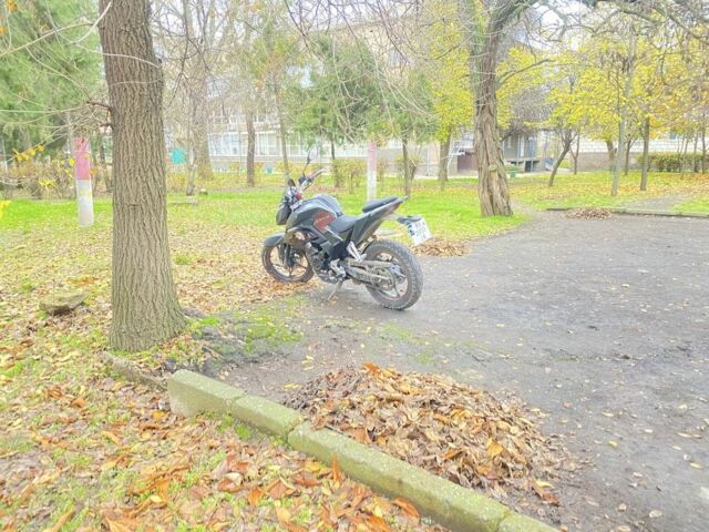 Лонкин LX250-15, объемом двигателя 0.25 л и пробегом 0 тыс. км за 830 $, фото 3 на Automoto.ua