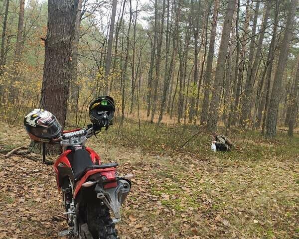 Червоний Лонкін LX 300GY, об'ємом двигуна 0.3 л та пробігом 13 тис. км за 2200 $, фото 3 на Automoto.ua