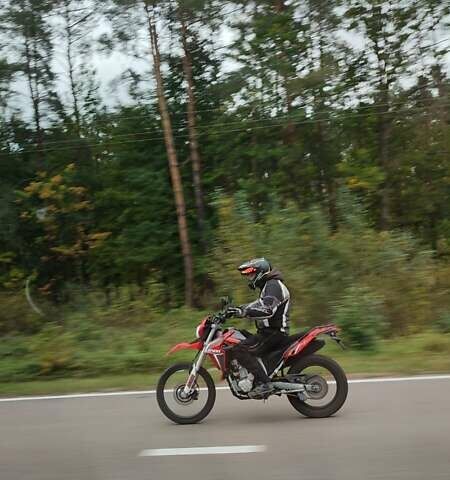 Червоний Лонкін LX 300GY, об'ємом двигуна 0.3 л та пробігом 13 тис. км за 2200 $, фото 9 на Automoto.ua