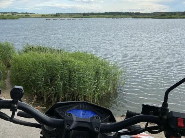 Лонкин 250, объемом двигателя 0.25 л и пробегом 0 тыс. км за 1550 $, фото 10 на Automoto.ua