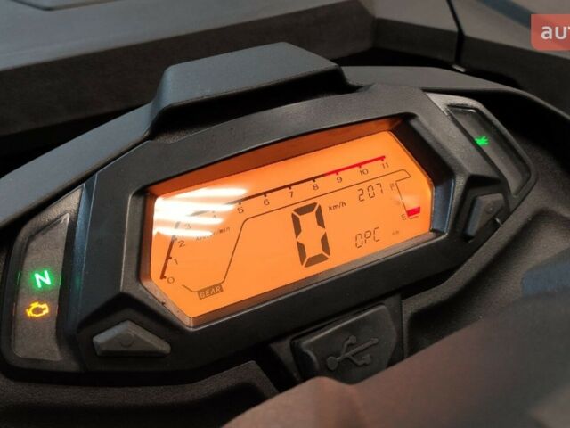 купить новое авто Лонкин XWOLF 300 2024 года от официального дилера АртМото Хмельницький Лонкин фото