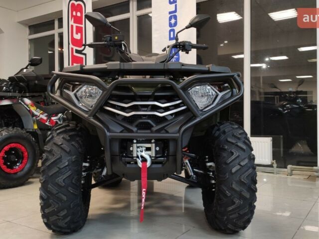 купить новое авто Лонкин XWOLF 300 2024 года от официального дилера АртМото Хмельницький Лонкин фото