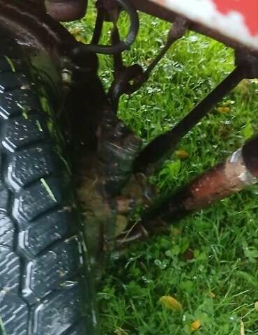 Красный ЛуАЗ 969 Волинь, объемом двигателя 1.3 л и пробегом 100 тыс. км за 2400 $, фото 12 на Automoto.ua