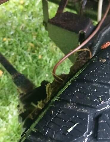 Красный ЛуАЗ 969 Волинь, объемом двигателя 1.3 л и пробегом 100 тыс. км за 2400 $, фото 11 на Automoto.ua