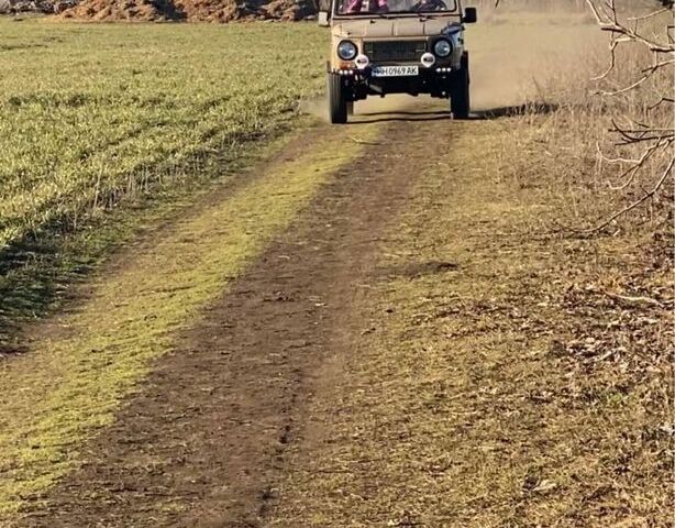 Жовтий ЛуАЗ 969 Волинь, об'ємом двигуна 1.2 л та пробігом 34 тис. км за 2500 $, фото 2 на Automoto.ua