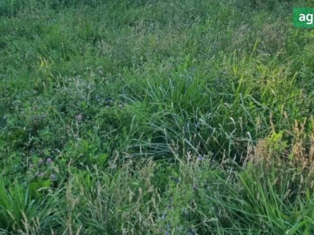 Львівсільмаш ОП 2000, об'ємом двигуна 0 л та пробігом 100 тис. км за 4500 $, фото 2 на Automoto.ua