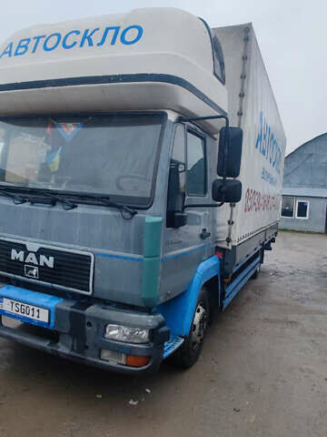Серый МАН 12.225, объемом двигателя 6.87 л и пробегом 187 тыс. км за 16000 $, фото 1 на Automoto.ua