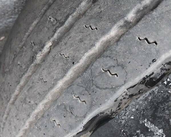 Белый МАН 18.224, объемом двигателя 6.87 л и пробегом 437 тыс. км за 8900 $, фото 13 на Automoto.ua