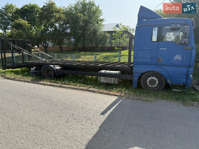 Синий МАН 18.262, объемом двигателя 5 л и пробегом 800 тыс. км за 7100 $, фото 2 на Automoto.ua