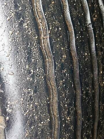 Синий МАН 18.410, объемом двигателя 0 л и пробегом 100 тыс. км за 8500 $, фото 6 на Automoto.ua