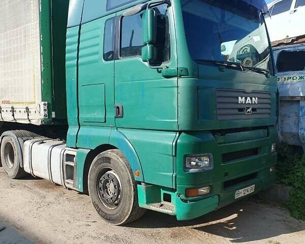 Зеленый МАН 18.463, объемом двигателя 12.82 л и пробегом 1 тыс. км за 5500 $, фото 1 на Automoto.ua