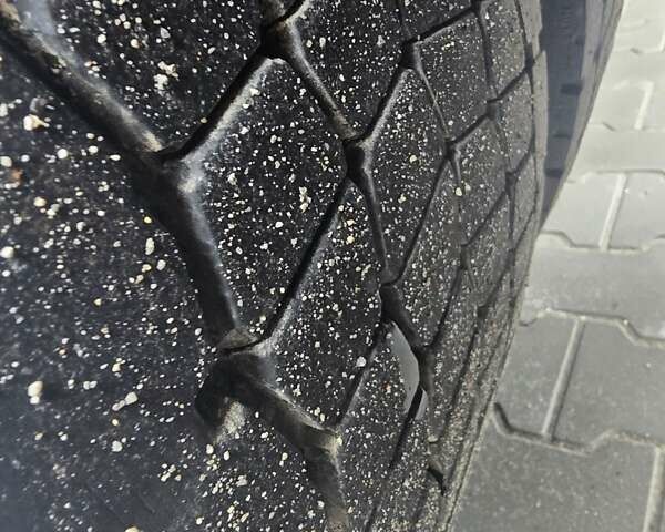 Білий МАН 18.480, об'ємом двигуна 12.8 л та пробігом 300 тис. км за 14800 $, фото 17 на Automoto.ua