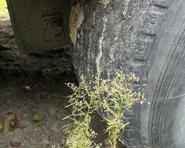 МАН 18.480 2012 у Каменце-Подольском на Automoto.ua Червоний МАН 18.480, об'ємом двигуна 12.8 л та пробігом 1 тис. км за 28300 $, фото 20 на Automoto.ua