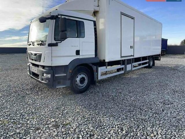 Белый МАН 18.250, объемом двигателя 6.8 л и пробегом 500 тыс. км за 38000 $, фото 1 на Automoto.ua