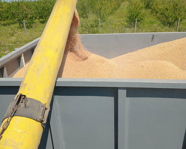 Серый МАН Ф 2000, объемом двигателя 11.97 л и пробегом 200 тыс. км за 14500 $, фото 4 на Automoto.ua