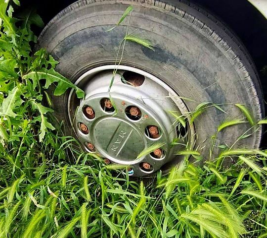 Білий МАН Ф, об'ємом двигуна 12 л та пробігом 999 тис. км за 9500 $, фото 10 на Automoto.ua