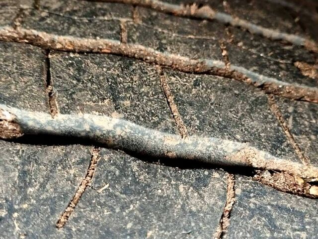 МАН L 1998 у Лозовой на Automoto.ua Білий МАН L, об'ємом двигуна 4.5 л та пробігом 350 тис. км за 9000 $, фото 2 на Automoto.ua