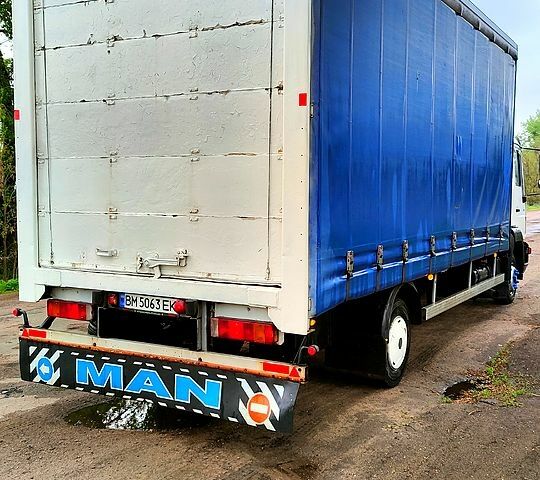 Білий МАН L, об'ємом двигуна 4.6 л та пробігом 700 тис. км за 9000 $, фото 3 на Automoto.ua