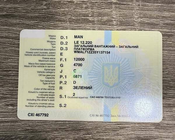 Зелений МАН ЛЄ 12.220, об'ємом двигуна 6.87 л та пробігом 300 тис. км за 10000 $, фото 27 на Automoto.ua