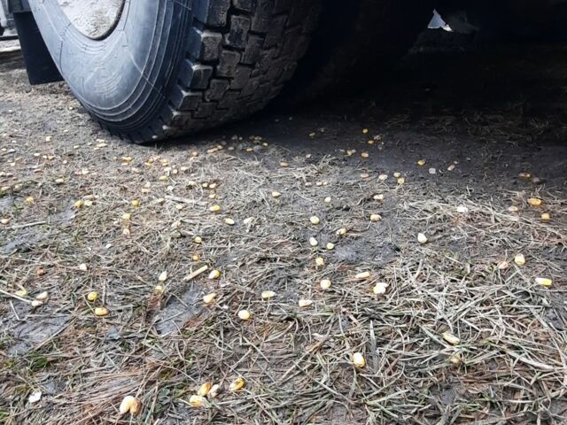 МАН ТГА, объемом двигателя 0 л и пробегом 0 тыс. км за 7300 $, фото 7 на Automoto.ua