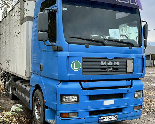 Синій МАН TGA, об'ємом двигуна 12.82 л та пробігом 1000 тис. км за 21999 $, фото 3 на Automoto.ua