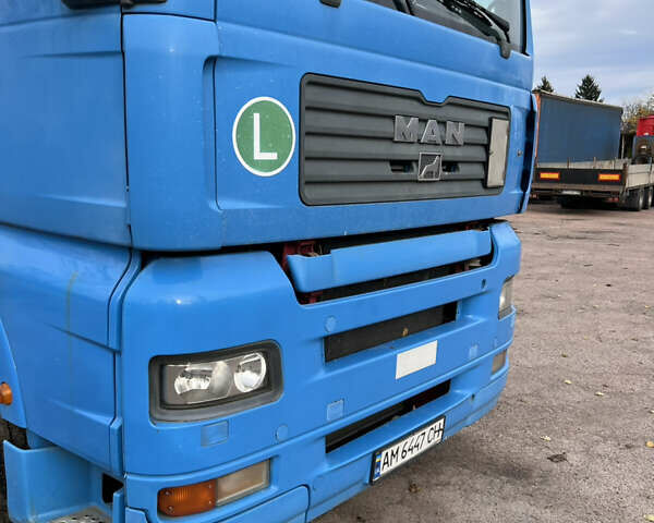 Синій МАН TGA, об'ємом двигуна 12.82 л та пробігом 1000 тис. км за 21999 $, фото 15 на Automoto.ua