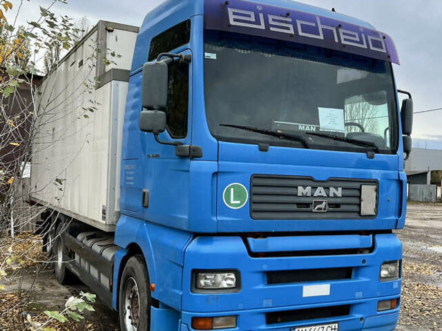 Синій МАН TGA, об'ємом двигуна 12.82 л та пробігом 1000 тис. км за 21999 $, фото 1 на Automoto.ua