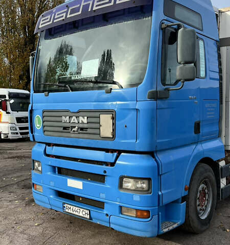 Синій МАН TGA, об'ємом двигуна 12.82 л та пробігом 1000 тис. км за 21999 $, фото 12 на Automoto.ua