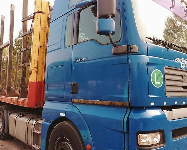 Синий МАН ТГА, объемом двигателя 10.52 л и пробегом 300 тыс. км за 10000 $, фото 2 на Automoto.ua