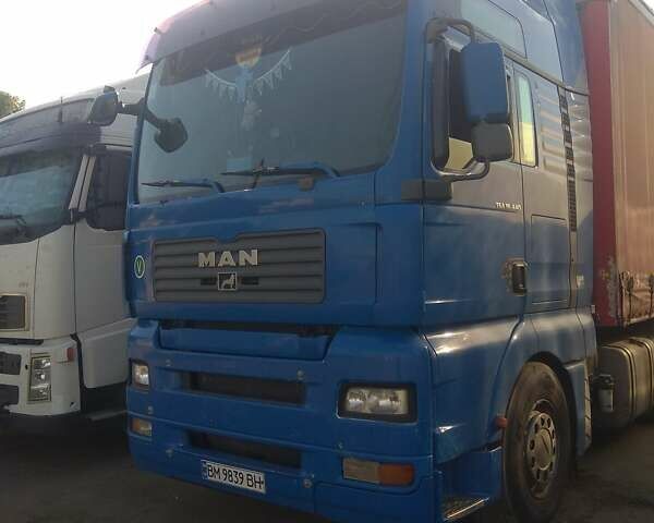 Синий МАН ТГА, объемом двигателя 10.5 л и пробегом 610 тыс. км за 16000 $, фото 7 на Automoto.ua