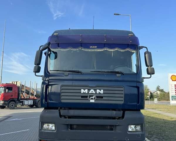 Синий МАН ТГА, объемом двигателя 0 л и пробегом 1 тыс. км за 12750 $, фото 3 на Automoto.ua
