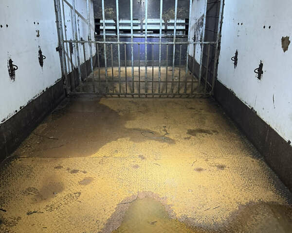 Білий МАН TGL, об'ємом двигуна 4.58 л та пробігом 10 тис. км за 25000 $, фото 4 на Automoto.ua