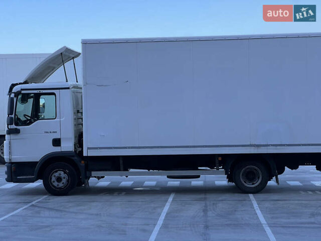 Белый МАН ТГЛ, объемом двигателя 4.58 л и пробегом 523 тыс. км за 23900 $, фото 6 на Automoto.ua