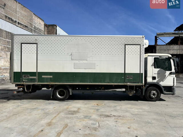 Белый МАН ТГЛ, объемом двигателя 4.6 л и пробегом 390 тыс. км за 24000 $, фото 1 на Automoto.ua