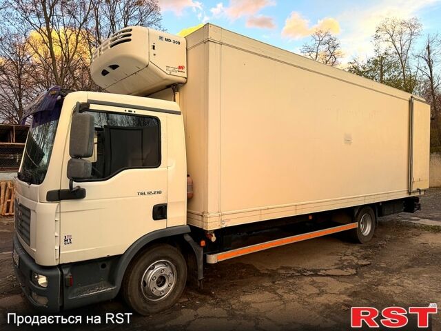 МАН TGL, об'ємом двигуна 4.6 л та пробігом 760 тис. км за 28000 $, фото 4 на Automoto.ua