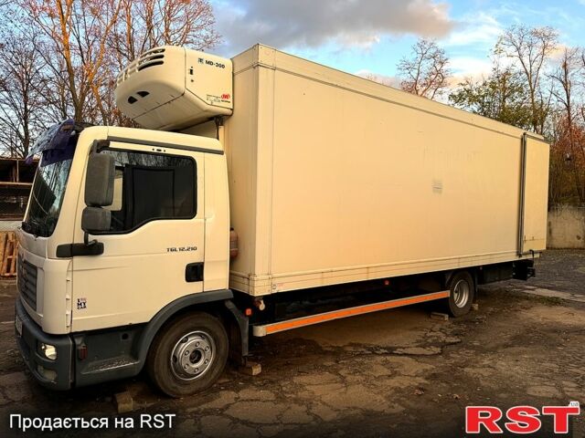 МАН TGL, об'ємом двигуна 4.6 л та пробігом 760 тис. км за 28000 $, фото 11 на Automoto.ua