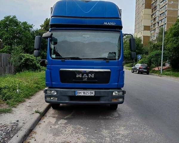 МАН TGL, об'ємом двигуна 0 л та пробігом 704 тис. км за 20000 $, фото 1 на Automoto.ua